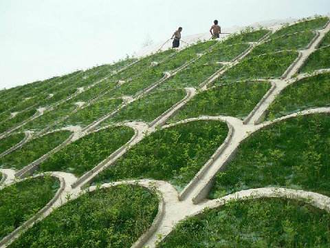 都江堰植生袋边坡治理案例